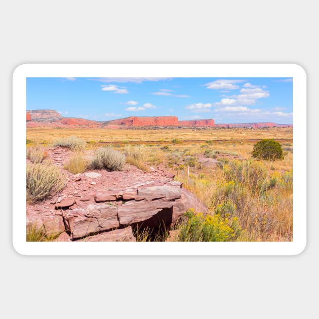 Landform of American desert. Sticker by brians101